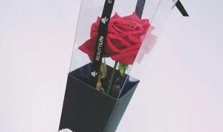 一支玫瑰花如何包装 玫瑰花怎么包装